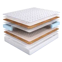  Base Holl Hard Bonnel